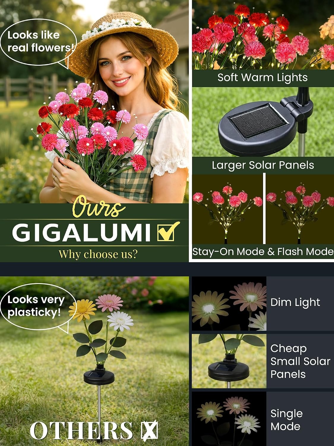 image:imageGIGALUMI 3 Pack Solar 21 Chrysanthemum Flowers Outdoor 2 Modes MultiColorMulticolor