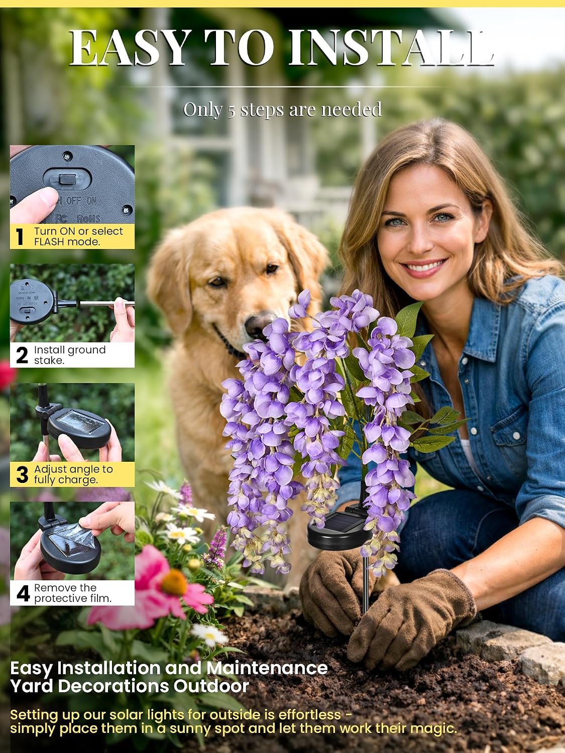 image:imageGIGALUMI 3 Pack Solar Wisteria Flowers Outdoor 2 Modes MulticoloredMulticolor