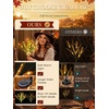 GIGALUMI 2 Pack Solar Wheat Outdoor Fall Decor, 2 Modes, Yellow(Yellow)