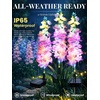 GIGALUMI 3 Pack Solar Delphinium Flowers Outdoor, 2 Modes, Multicolored(Pink)