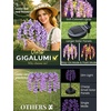 GIGALUMI 3 Pack Solar Wisteria Flowers Outdoor, 2 Modes, Multicolored(Purple)