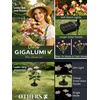 GIGALUMI 4 Pack Solar 28 Carnations Flowers Outdoor, 2 Modes, Multicolored(Multicolor)