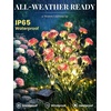 GIGALUMI 4 Pack Solar 28 Carnations Flowers Outdoor, 2 Modes, Multicolored(Pink)