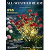 GIGALUMI 4 Pack Solar 28 Carnations Flowers Outdoor, 2 Modes, Multicolored(Red)