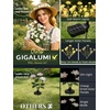 GIGALUMI 4 Pack Solar 28 Carnations Flowers Outdoor, 2 Modes, Multicolored(White)