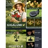 GIGALUMI 4 Pack Solar 28 Roses Flowers Outdoor, 2 Modes, Multicolored(Multicolor)