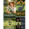 GIGALUMI 4 Pack Solar 28 Roses Flowers Outdoor, 2 Modes, Multicolored(Pink)
