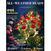 GIGALUMI 4 Pack Solar 28 Roses Flowers Outdoor, 2 Modes, Multicolored(Red)