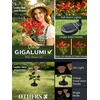 GIGALUMI 4 Pack Solar 28 Roses Flowers Outdoor, 2 Modes, Multicolored(Red)