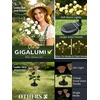 GIGALUMI 4 Pack Solar 28 Roses Flowers Outdoor, 2 Modes, Multicolored(White)