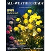 GIGALUMI 4 Pack Solar 28 Roses Flowers Outdoor, 2 Modes, Multicolored(Yellow)