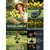 GIGALUMI 4 Pack Solar 28 Roses Flowers Outdoor, 2 Modes, Multicolored(Yellow)
