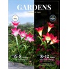 GIGALUMI Solar Garden Lights, 2 Pack LED Lily Solar Flower Lights Outdoor(2 Purple  1 Red  1 White)