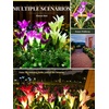 GIGALUMI Solar Garden Lights, 2 Pack LED Lily Solar Flower Lights Outdoor(2 Purple  1 Red  1 White)