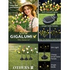 GIGALUMI Solar Garden Lights with Gardenias, 2 Pack LED Garden Decor Carefree Solar Flowers Outdoor Waterproof, Yard Decorations Outdoor, Allergy-Free Light up Flowers for Yard Patio (1white+1yellow)(2white+1pink+1yellow)
