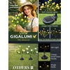 GIGALUMI Solar Garden Lights with Gardenias, 2 Pack LED Garden Decor Carefree Solar Flowers Outdoor Waterproof, Yard Decorations Outdoor, Allergy-Free Light up Flowers for Yard Patio (1white+1yellow)(1white+1yellow)