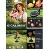GIGALUMI Solar Outdoor Lights 9 Roses for Garden Decor, 3Pack Multi-Colored(Pink+Yellow)