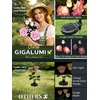 GIGALUMI Solar Outdoor Lights 9 Roses for Garden Decor, 3Pack Multi-Colored(Purple)