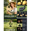 GIGALUMI Solar Outdoor Lights 9 Roses for Garden Decor, 3Pack Multi-Colored(Yellow)