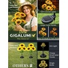 GIGALUMI Solar Sunflower Decor, 2 Pack LED Sunflower Gifts for Women(Set of 4)