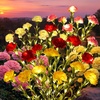 GIGALUMI 4 Pack Solar 28 Carnations Flowers Outdoor, 2 Modes, Multicolored(Multicolor)