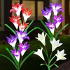 2 Purple  1 Red  1 White