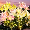 2Pink 1White 1Yellow