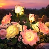 GIGALUMI Solar Outdoor Lights 9 Roses for Garden Decor, 3Pack Multi-Colored(Pink+Yellow)