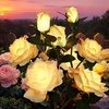 GIGALUMI Solar Outdoor Lights 9 Roses for Garden Decor, 3Pack Multi-Colored(Yellow)
